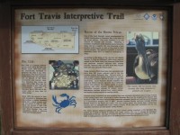 Fort Travis Seashore Park, Bolivar Peninsula, Texas