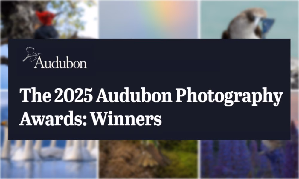 2025 Audubon Photography Awards