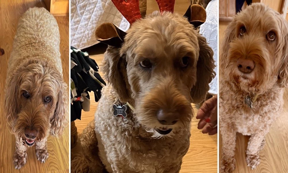 Emma Grace Elissalde