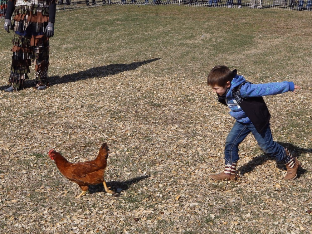 Courir de Mardi Gras Chicken Run Jan17