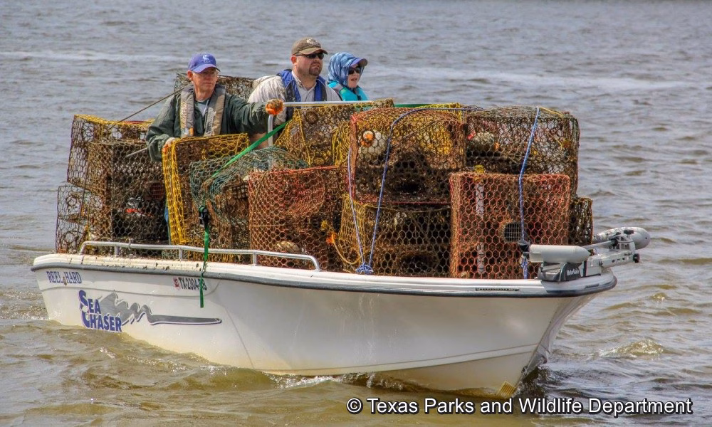 Abandoned Crab Trap Removal Dates Set