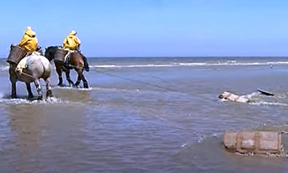 Shrimping on horseback