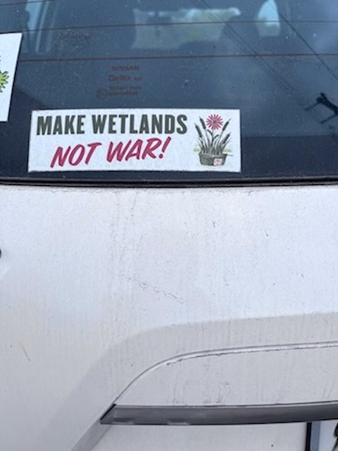 Bolivar Flats Sanctuary