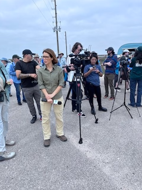 Bolivar Flats Sanctuary