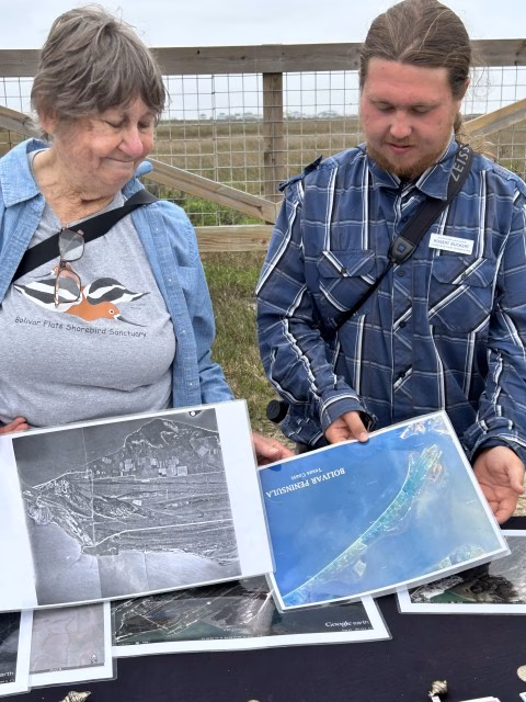 Bolivar Flats Sanctuary