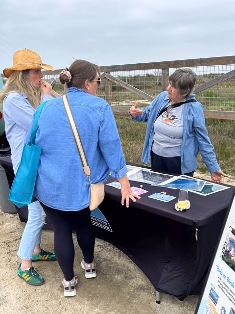 Bolivar Flats Sanctuary