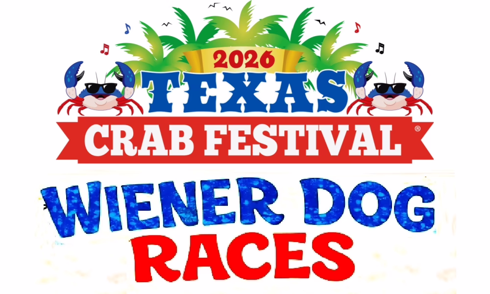 Wiener Dog Races at the Texas Crab Festival