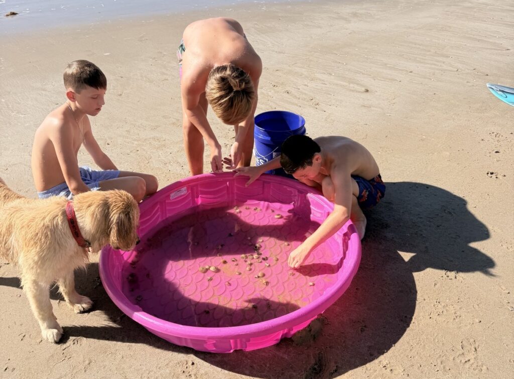 three boys and a dog with a pool on the beach