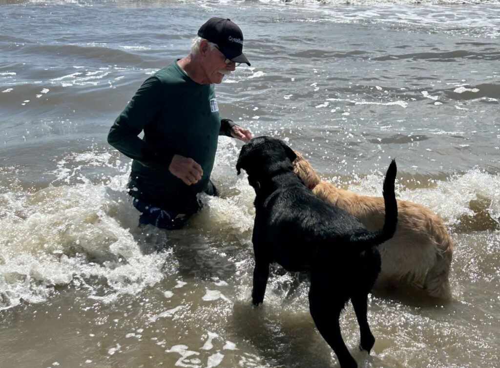 man in the surf with two dogs