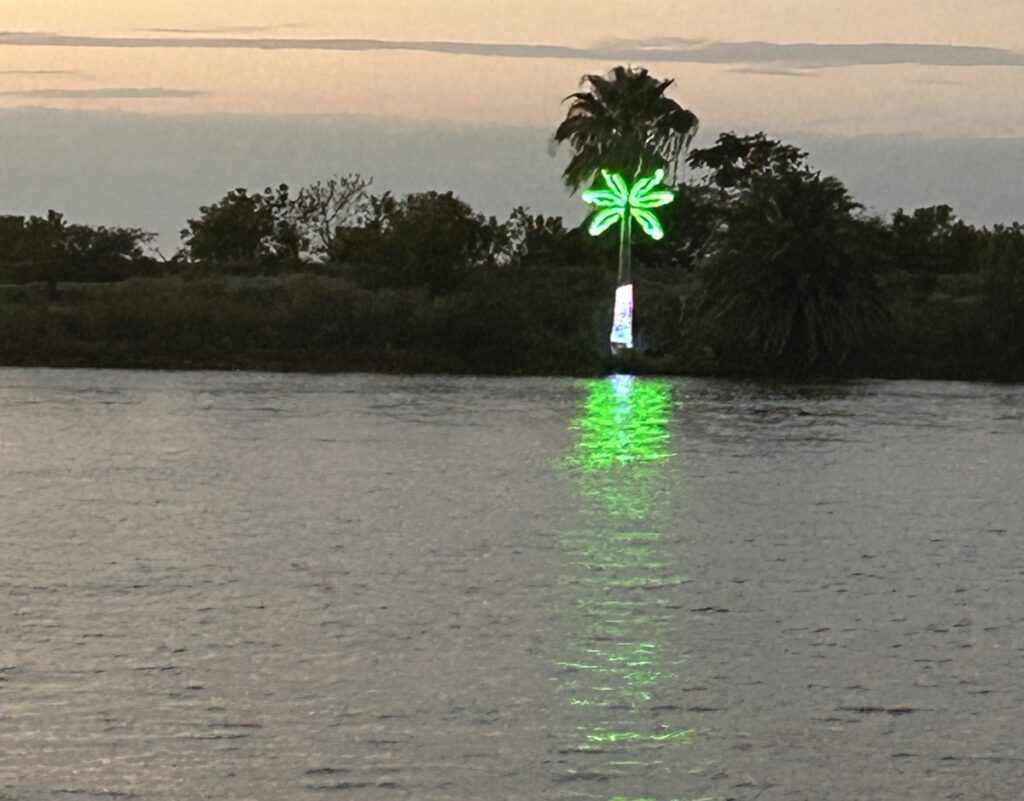 neon lighted palm tree across a body of water