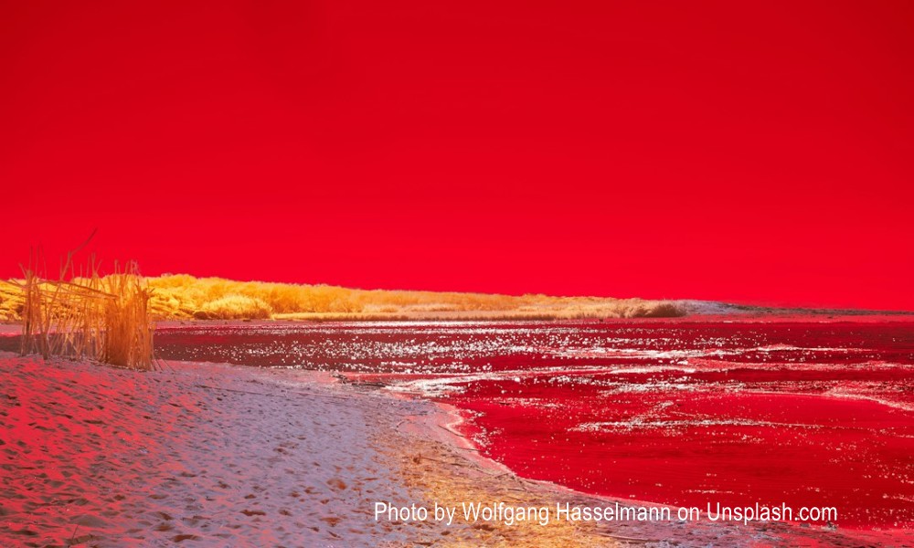beach scene with red water