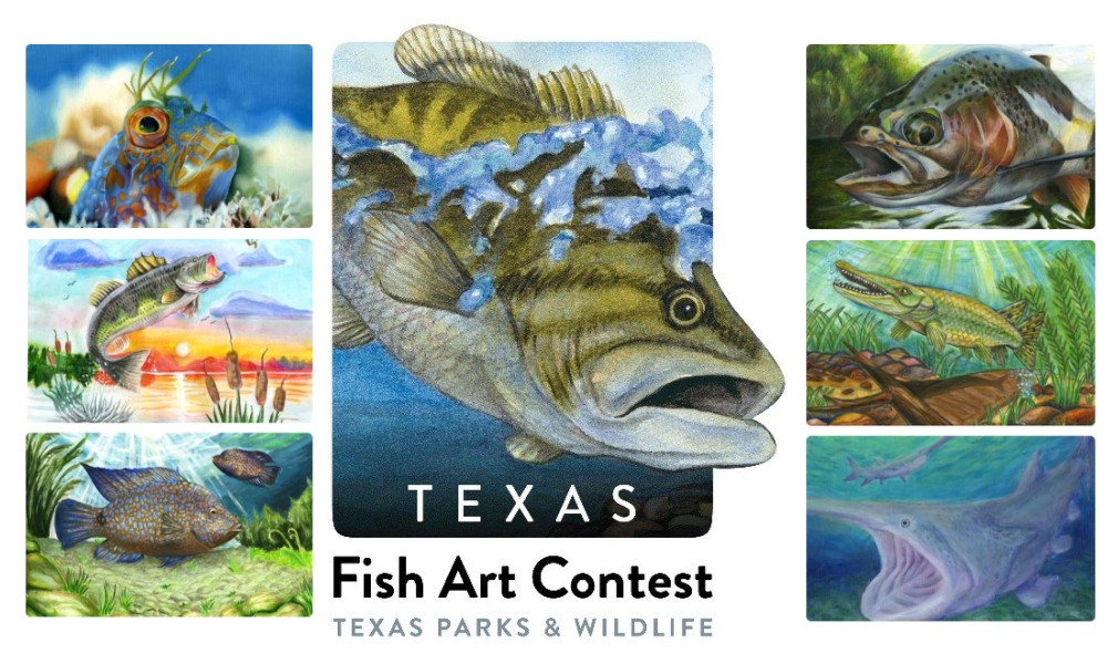Texas Fish Art Contest